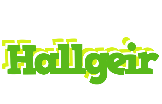 Hallgeir picnic logo