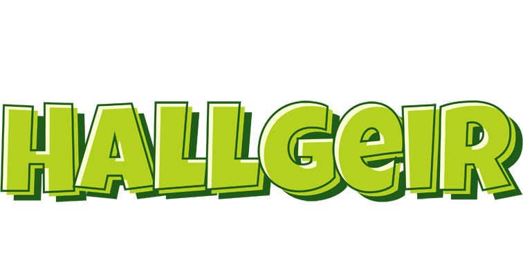 Hallgeir summer logo