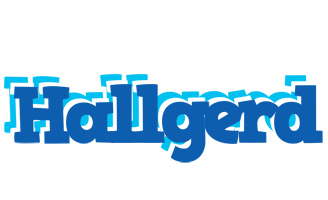 Hallgerd business logo