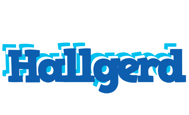 Hallgerd business logo