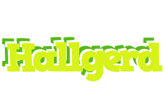 Hallgerd citrus logo