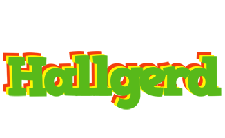 Hallgerd crocodile logo