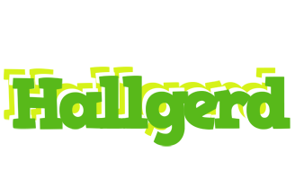 Hallgerd picnic logo