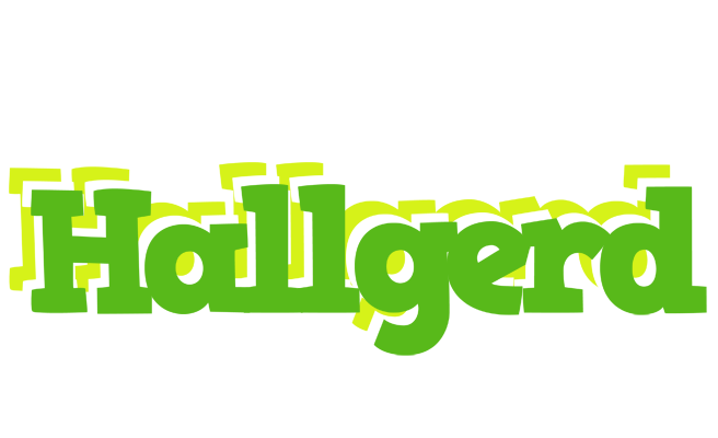Hallgerd picnic logo