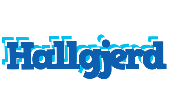 Hallgjerd business logo