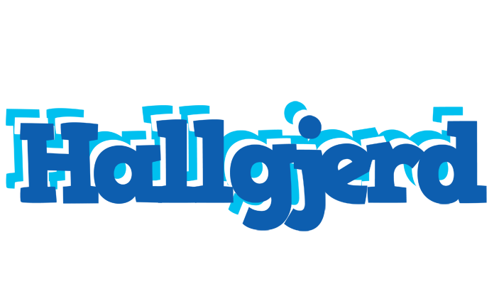 Hallgjerd business logo