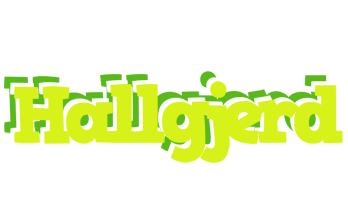 Hallgjerd citrus logo