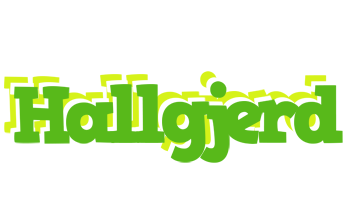 Hallgjerd picnic logo