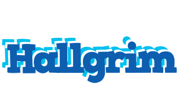 Hallgrim business logo