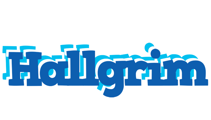 Hallgrim business logo