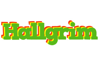 Hallgrim crocodile logo