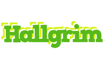 Hallgrim picnic logo