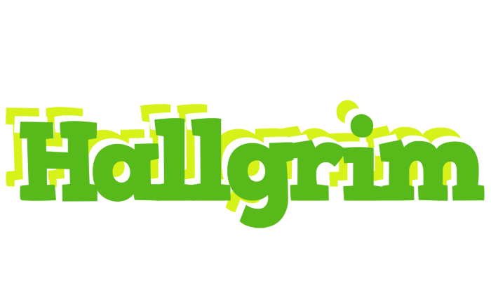 Hallgrim picnic logo