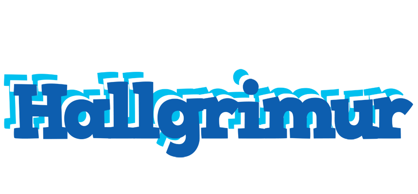 Hallgrimur business logo
