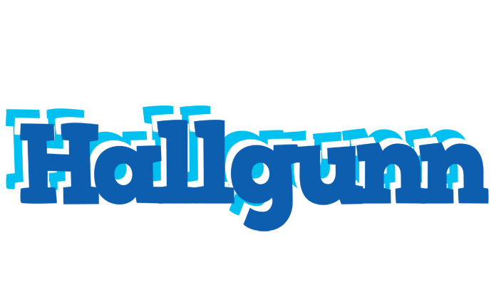 Hallgunn business logo