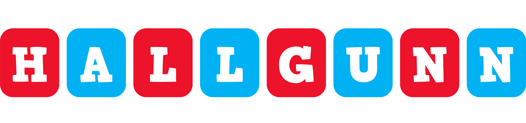 Hallgunn diesel logo