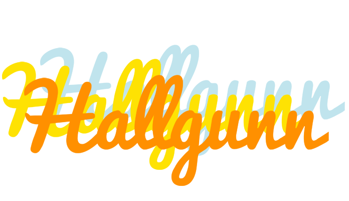 Hallgunn energy logo