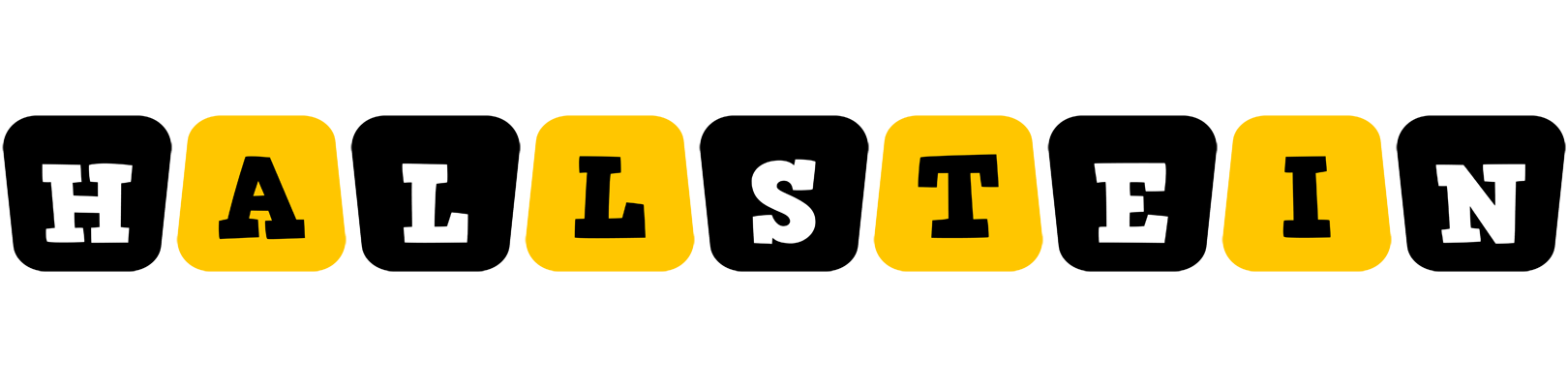 Hallstein boots logo