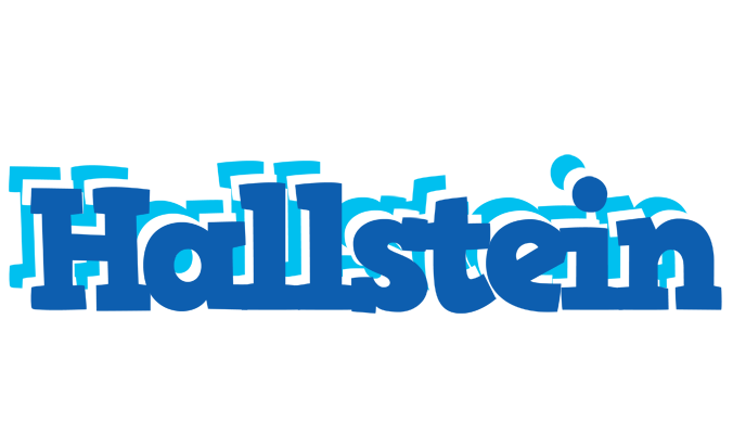 Hallstein business logo
