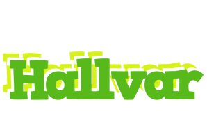 Hallvar picnic logo