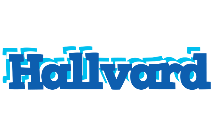 Hallvard business logo