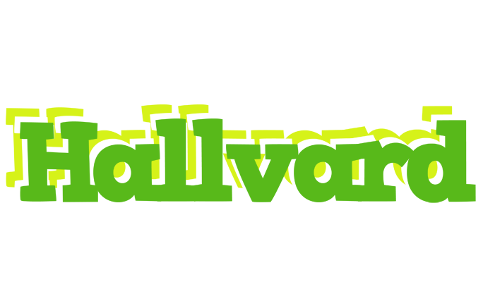 Hallvard picnic logo