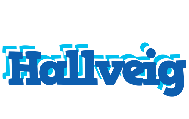 Hallveig business logo