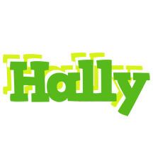 Hally picnic logo