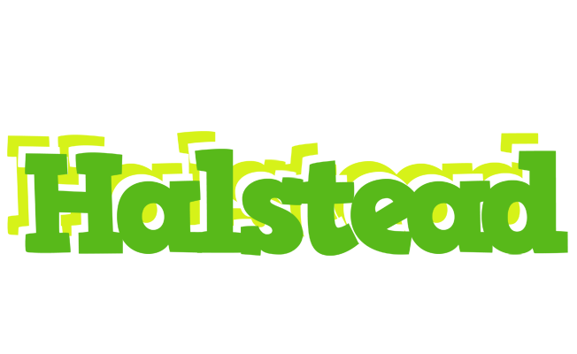 Halstead picnic logo