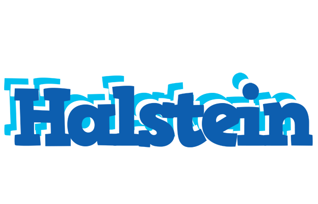 Halstein business logo