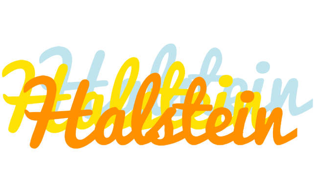Halstein energy logo