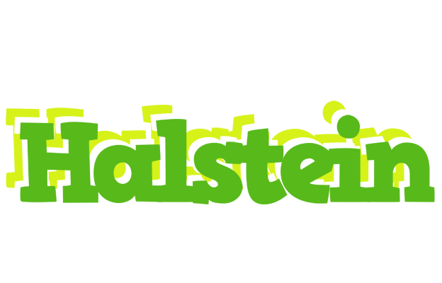 Halstein picnic logo