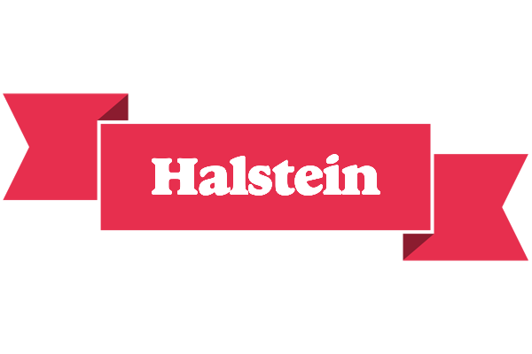 Halstein sale logo