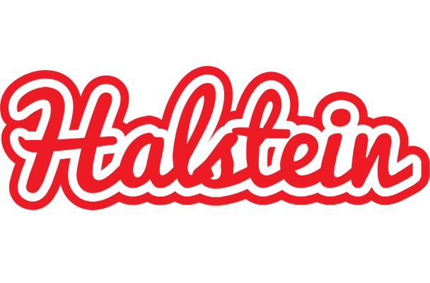 Halstein sunshine logo