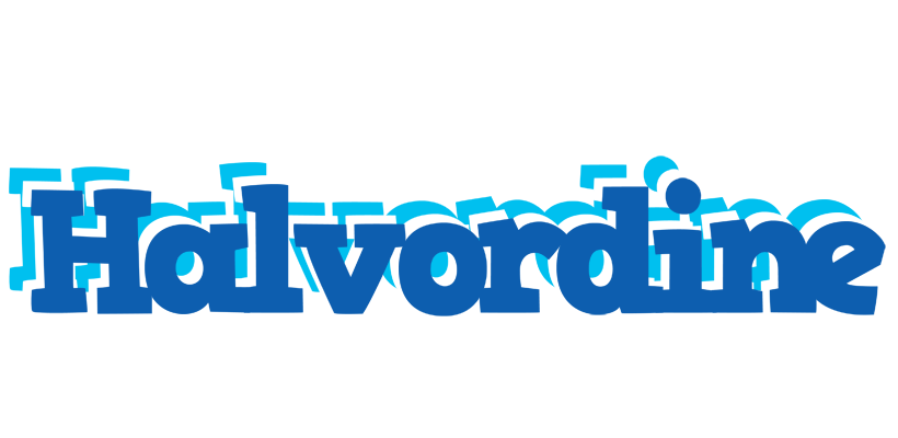 Halvordine business logo