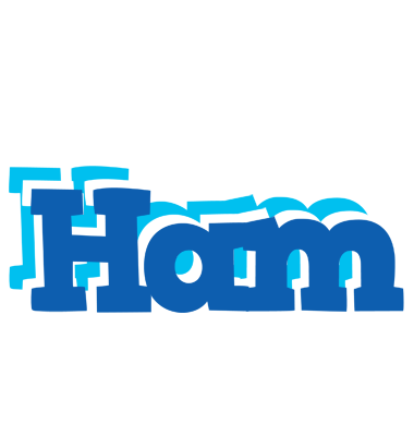 Ham business logo