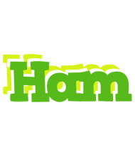 Ham picnic logo