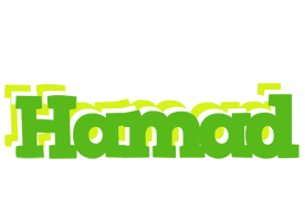 Hamad picnic logo
