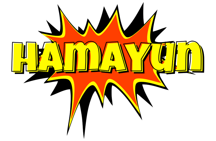 Hamayun bazinga logo