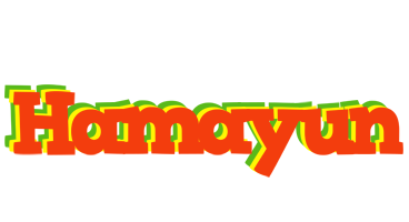 Hamayun bbq logo