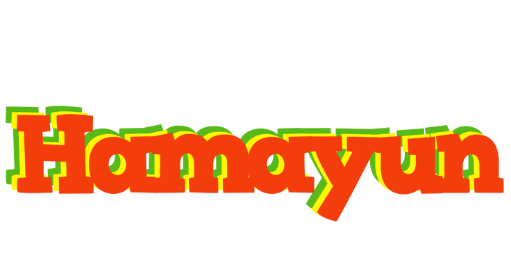 Hamayun bbq logo