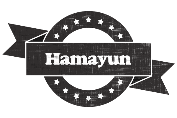 Hamayun grunge logo