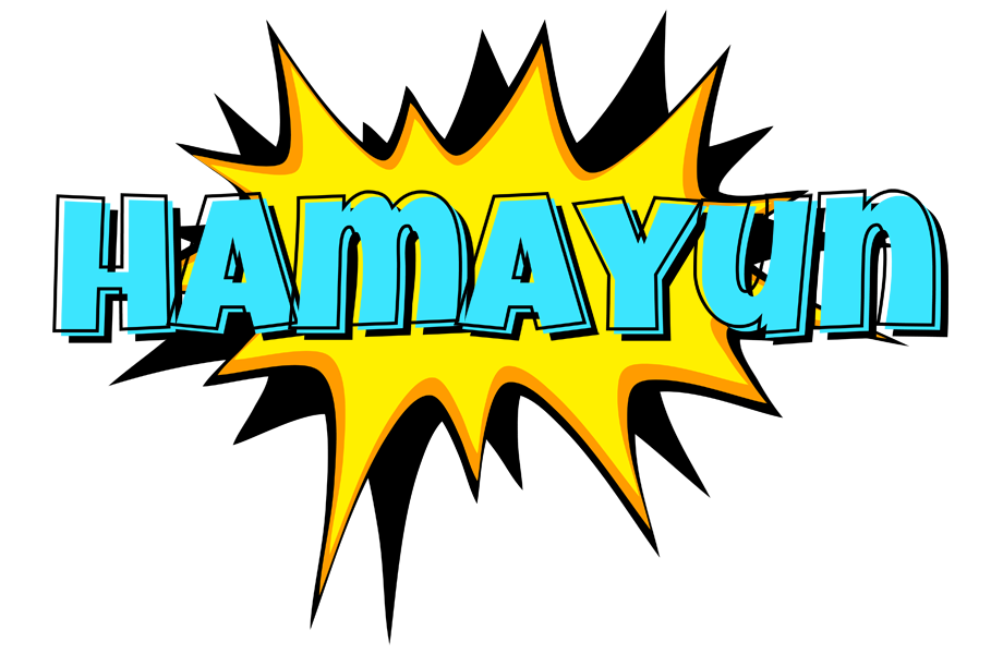 Hamayun indycar logo