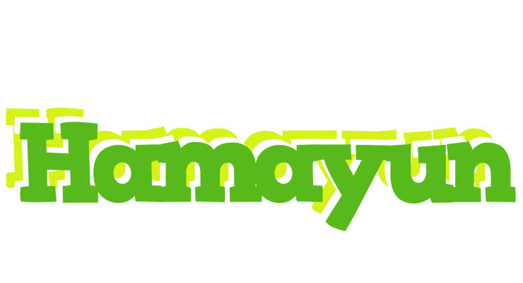 Hamayun picnic logo