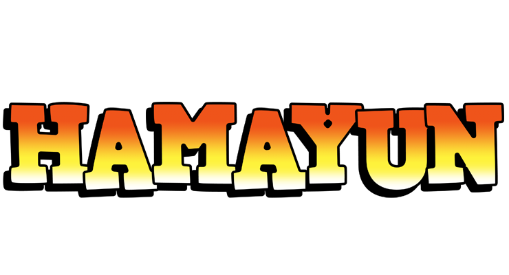 Hamayun sunset logo