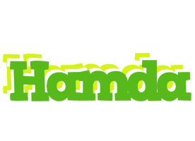 Hamda picnic logo