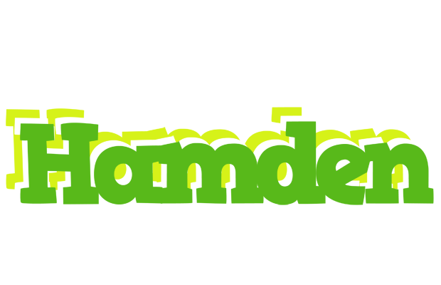 Hamden picnic logo