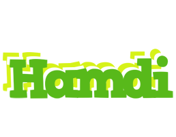 Hamdi picnic logo