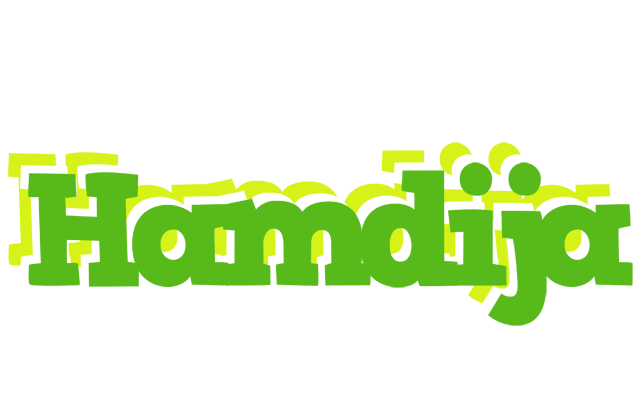 Hamdija picnic logo