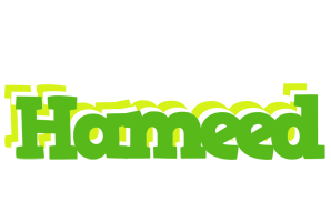 Hameed picnic logo